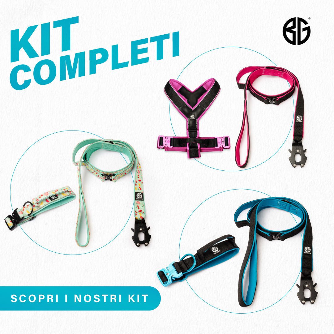 Kit Completi - Bad Guys Dog Wear
